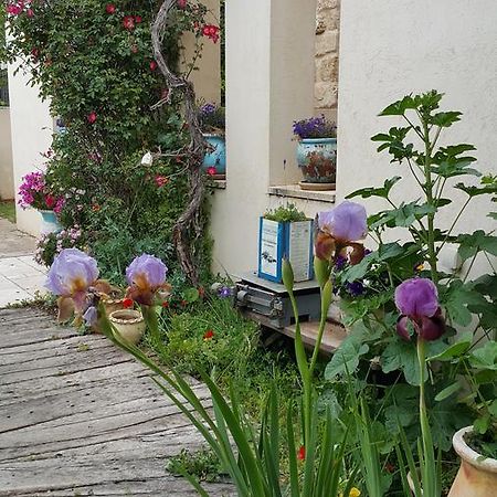 The House Of Taly & Erez Hotel Neta‘im Kültér fotó