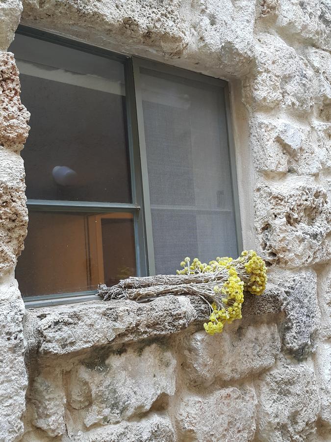 The House Of Taly & Erez Hotel Neta‘im Kültér fotó