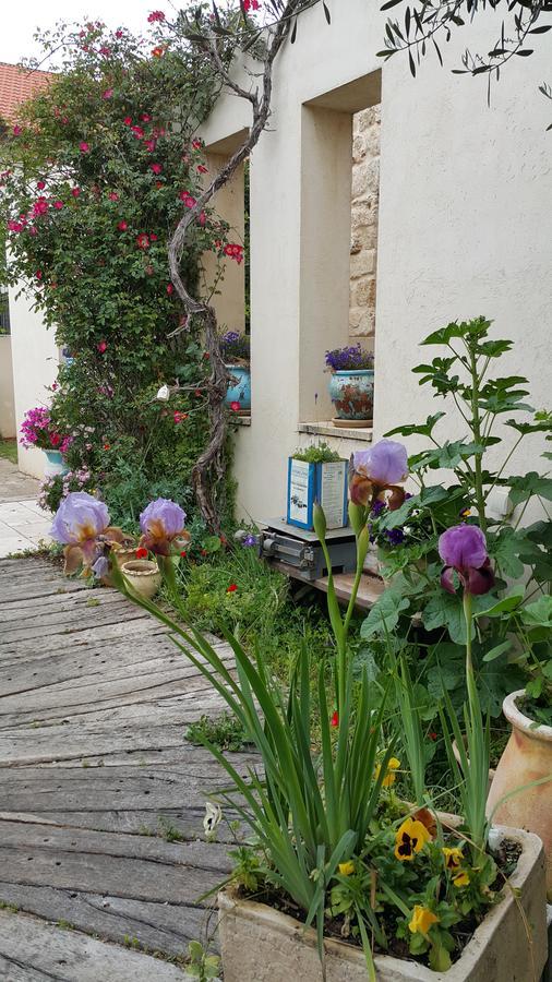 The House Of Taly & Erez Hotel Neta‘im Kültér fotó