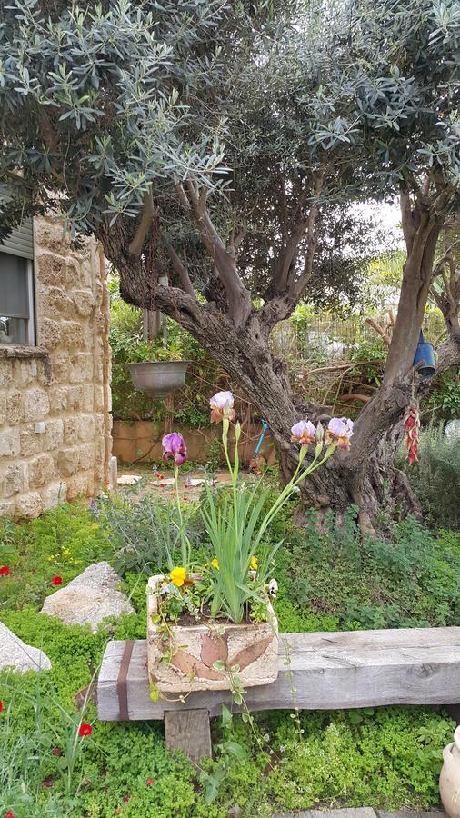 The House Of Taly & Erez Hotel Neta‘im Kültér fotó