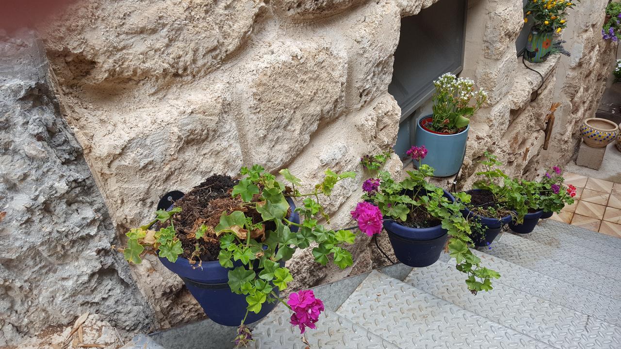 The House Of Taly & Erez Hotel Neta‘im Kültér fotó